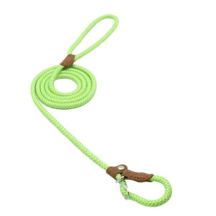 Nylon Pup Set - Serene