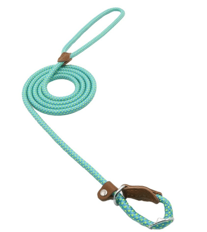 Nylon Pup Set - Serene