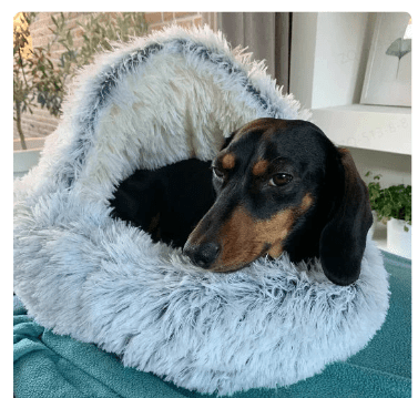 2-in1 Pet Bed - Serene