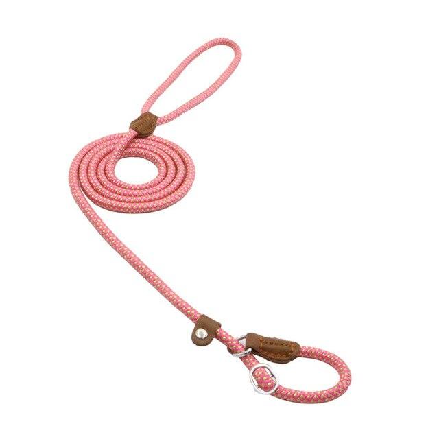 Nylon Pup Set - Serene
