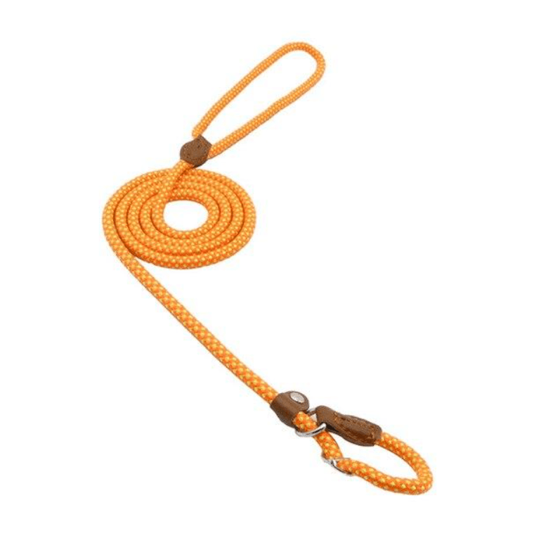 Nylon Pup Set - Serene
