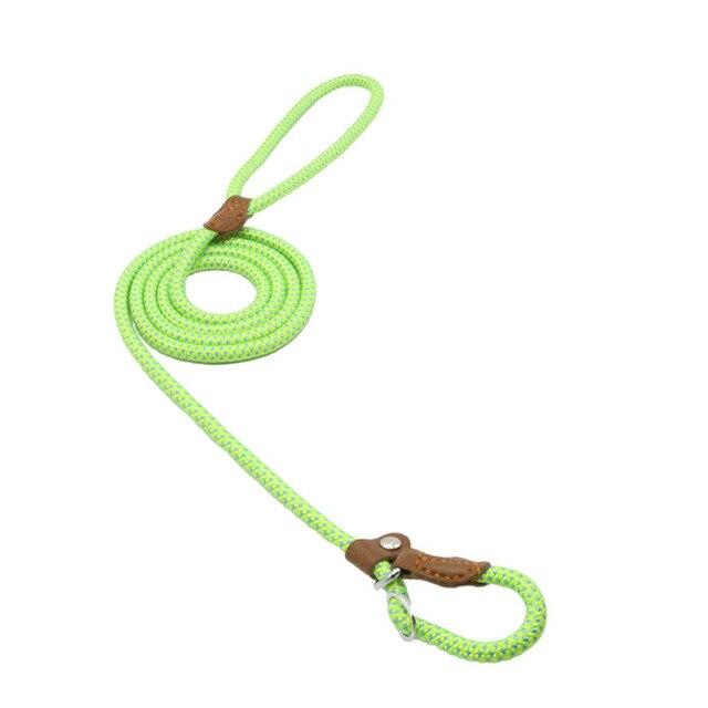 Nylon Pup Set - Serene