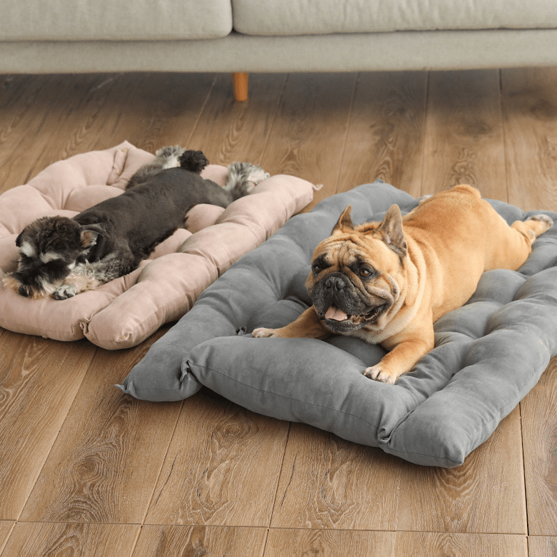 Folding Nest Sofa Bed - Serene