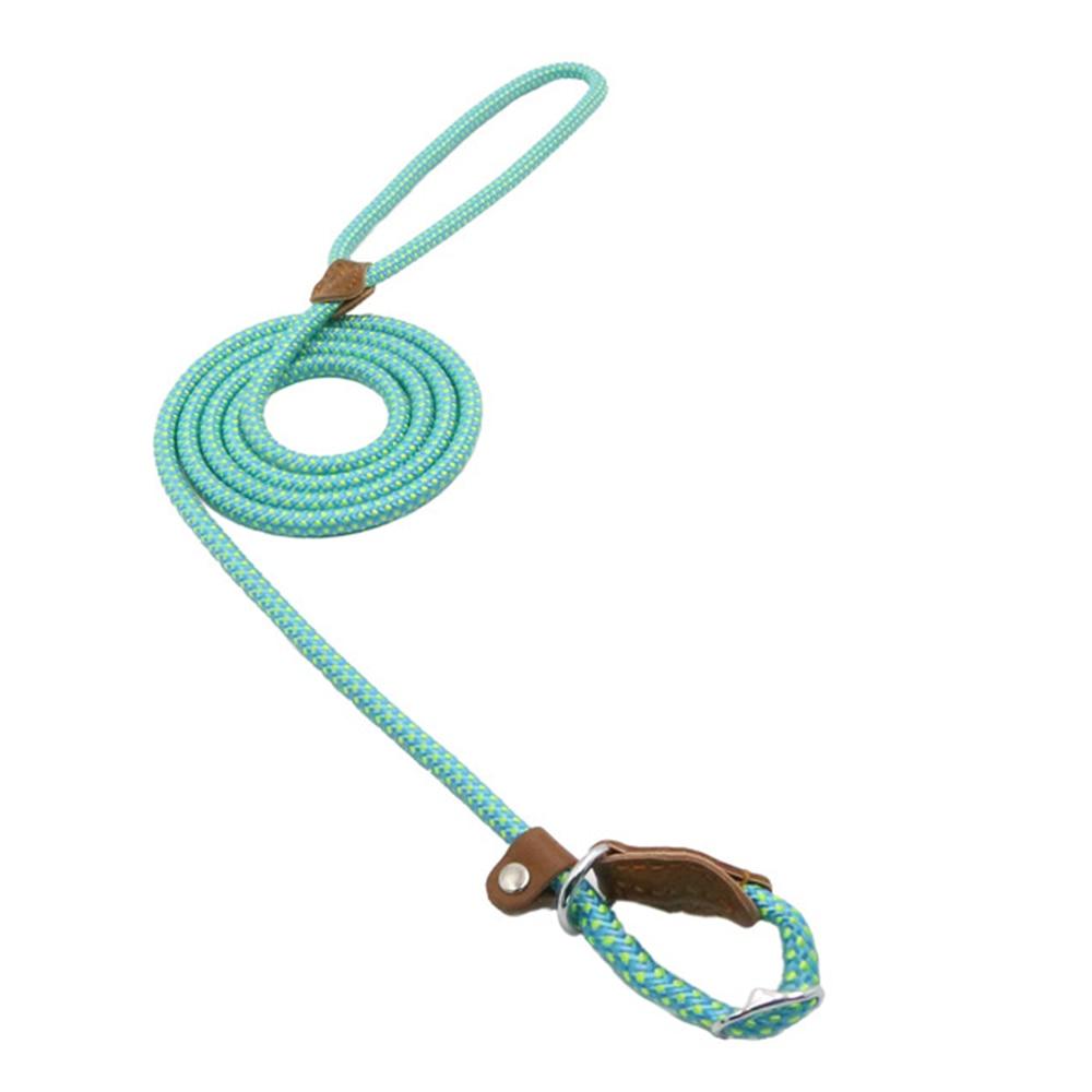 Nylon Pup Set - Serene
