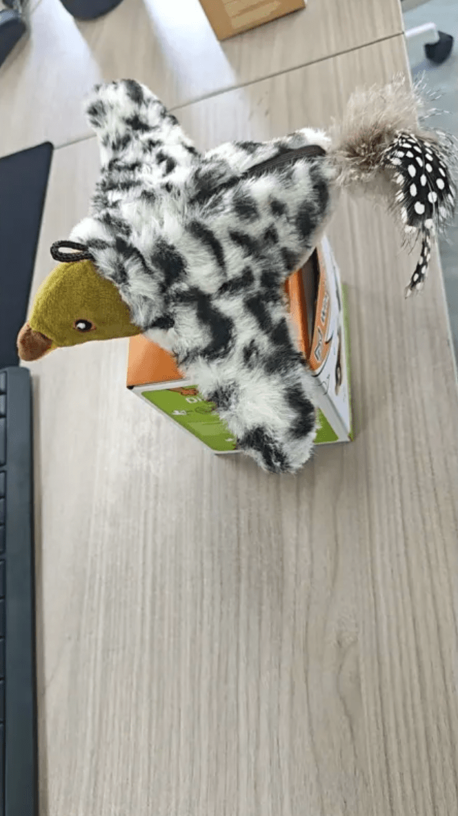 Plush Bird Pet Toy - Serene